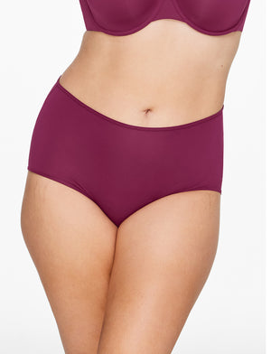 Comfort Choice Women's Plus Size Microfiber Adaptive Panty 2-Pack
